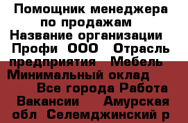 Помощник менеджера по продажам › Название организации ­ Профи, ООО › Отрасль предприятия ­ Мебель › Минимальный оклад ­ 60 000 - Все города Работа » Вакансии   . Амурская обл.,Селемджинский р-н